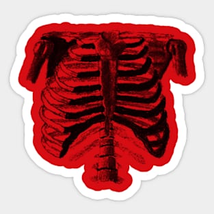 Ribcage Sticker